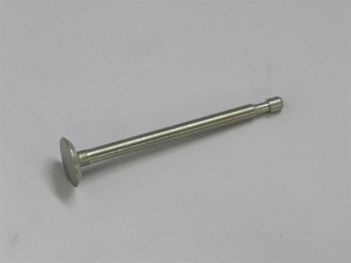Picture of 212004 Briggs & Stratton VALVE-EXHAUST