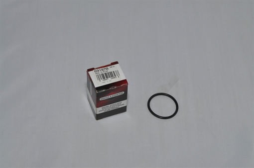 Picture of 691870 Briggs & Stratton SEAL-O RING