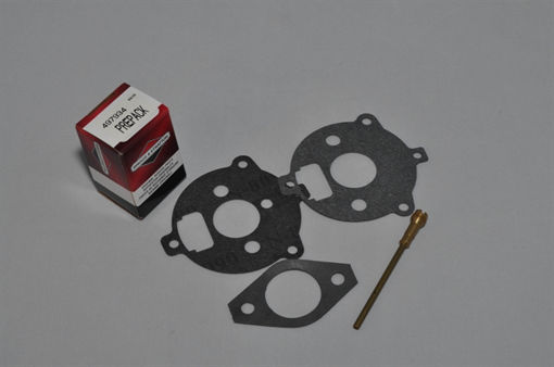 Picture of 394693 Briggs & Stratton KIT-CARB OVERHAUL