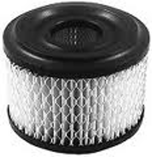 Picture of 393957 Briggs & Stratton FILTER-A/C CARTRIDGE