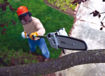 pole saw, stihl