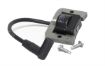 Picture of 24 584 262-S Replaces 24 584 201-S and 24 584 45-S Kohler Parts KIT, MODULE IGNTN (CDI FIXED)