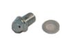 Picture of 119-1923 Toro DRAIN PLUG KIT