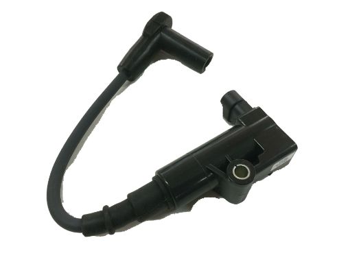 Picture of 25 519 02-S Kohler Parts COIL, IGNITION - EFI