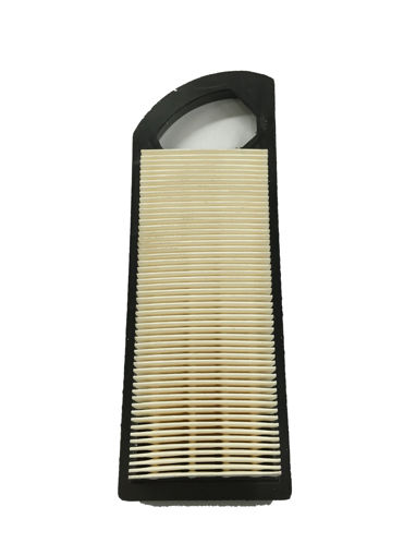 Picture of 794422 Briggs & Stratton FILTER-AIR CLEANER CA