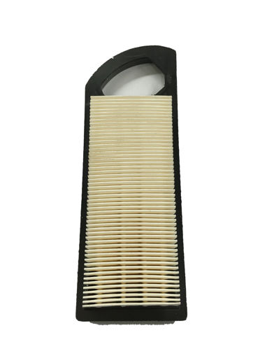 Picture of 794422 Briggs & Stratton FILTER-AIR CLEANER CA