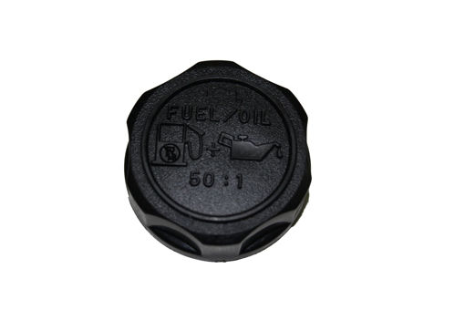 Picture of LG800006 Briggs & Stratton CAP
