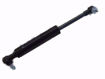 Picture of NV102028 Pro-Slide XT Gas Spring Assembly