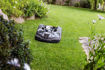 LAWN CUTTING, LAWN CARE, GRASS, MOWER