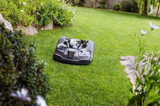 LAWN CUTTING, LAWN CARE, GRASS, MOWER