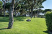 LAWN CUTTING, LAWN CARE, GRASS, MOWER