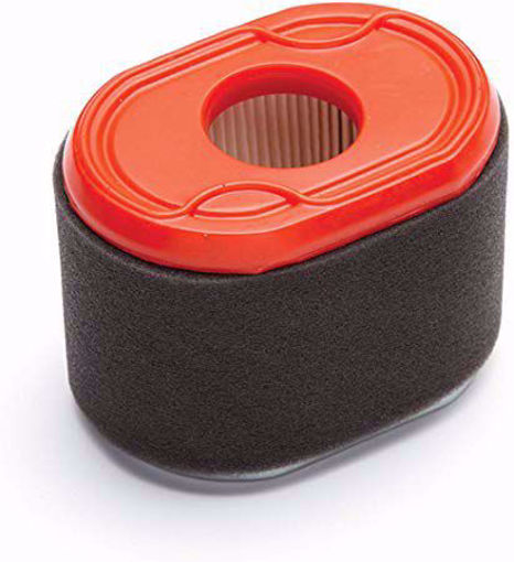 Picture of 796970 Briggs & Stratton FILTER-AIR CLEANER CA