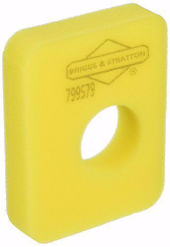 Picture of 799579 Briggs & Stratton FILTER-AIR CLEANER FO