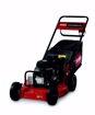 mowing, lawn care, turf, grass cutting