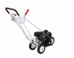 Little Wonder Pro Edger, edger