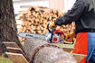 Stihl, chainsaws, tree cutting