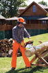 Stihl, chainsaws, tree cutting