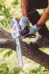 chainsaw, stihl, tree cutting