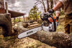 Stihl, chainsaws, tree cutting