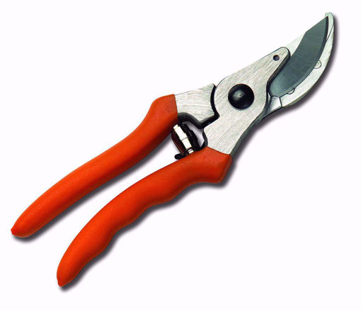 Picture of PP 10 Stihl This hand pruner