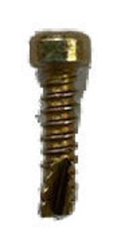 801318 BRIGGS SCREW