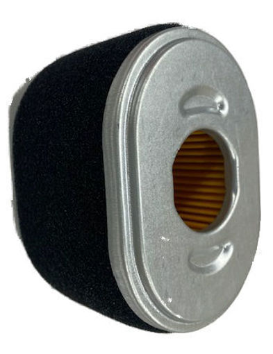 590601 BRIGGS FILTER-AIR CLEANER CA