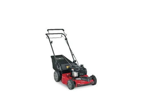 Picture of 21442 Toro 22" Recycler 22 in.  FWD Self Propelled Gas Walk-Behind Mower with Bag