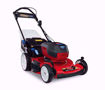 lawn mower, battery, mowing, grass, lawn care, spring