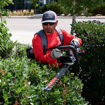Picture of 66120T TORO   Commercial Cordless Lithium-Ion Hedge Trimmer