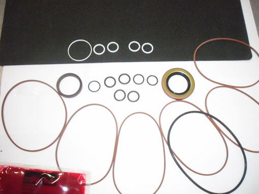 116-1369 TORO MOTOR SEAL KIT