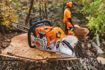 chainsaw, stihl, tree cutting