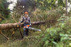 Picture of MS 500i STIHL Professional Chainsaw