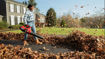 Blower, leaves, fall, debris