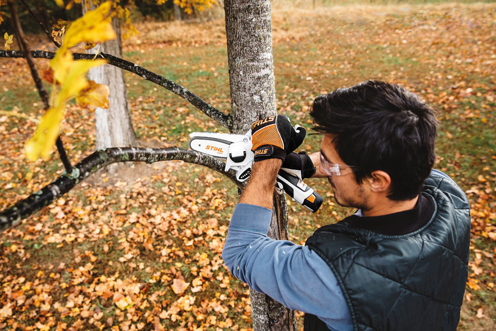 GTA 26 STIHL Cordless LithiumIon pruner Large Selection at Power