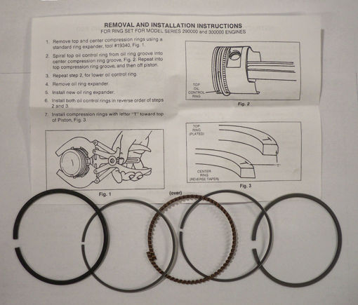 843953 BRIGGS RING SET