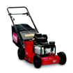 mowing, lawn care, turf, grass cutting, commercial mower