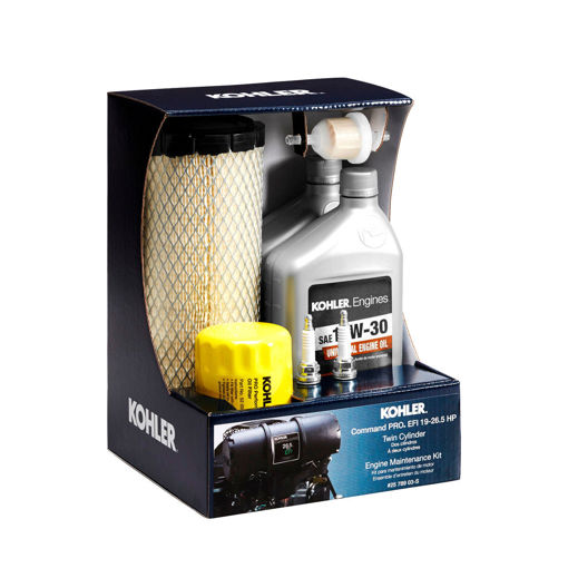 25 789 03-S Kohler EFI Maintenance Kit