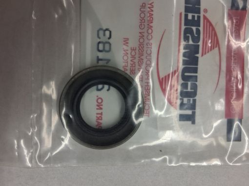 29183 TECUMSEH Oil Seal